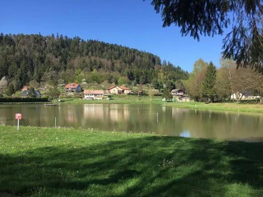 Leonie Villa Walscheid Luaran gambar